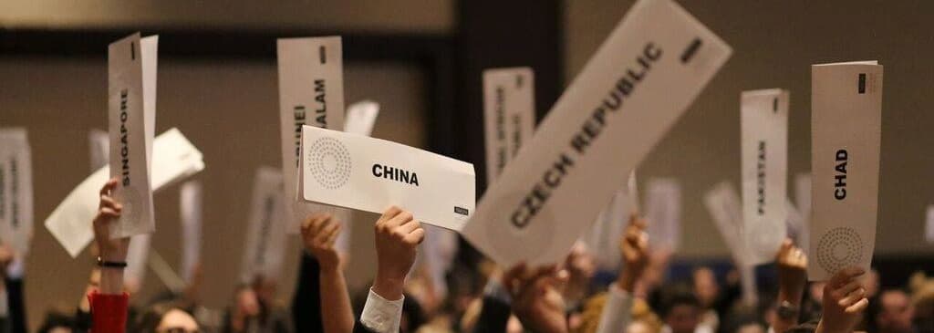 A delegate speaking from their seat in committee